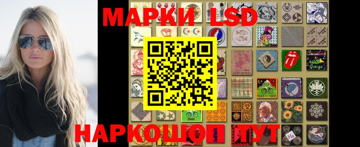 LSD-25 экстази кислота  ЛСД экстази кислота  Камышин  Вход с VPN 