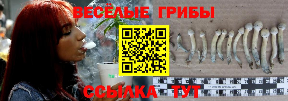 Камышин  Галлюциногенные грибы GOLDEN TEACHER  Вход с VPN 