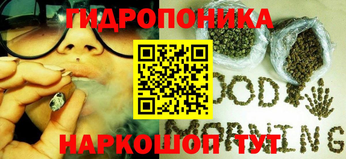 Каннабис сатива Камышин